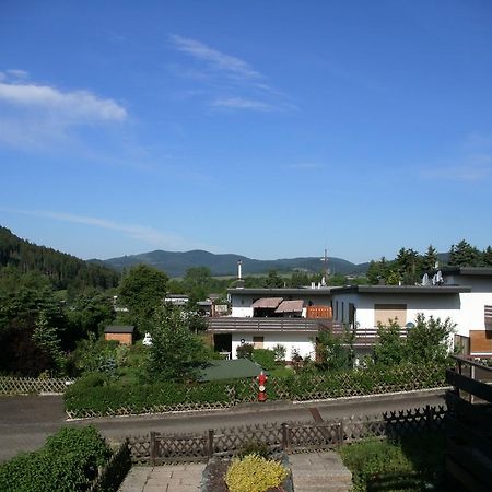 Haus Panoramablick Vila Medebach Exterior foto