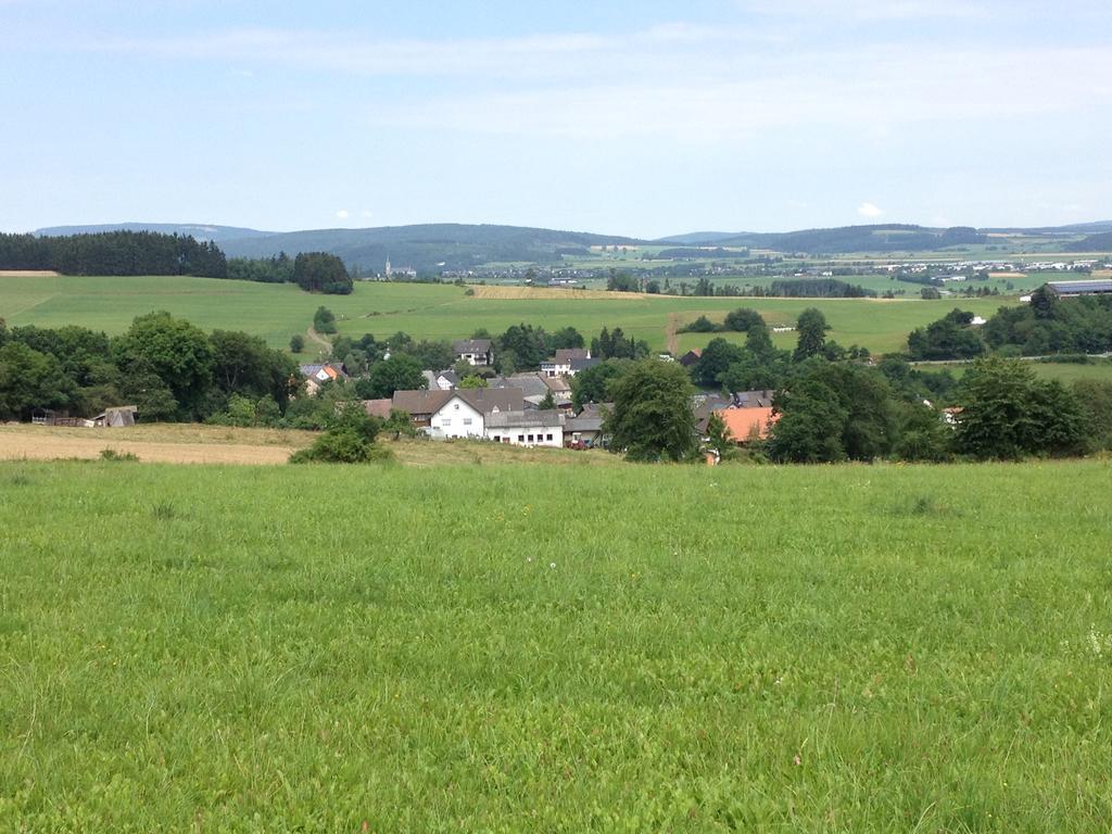 Haus Panoramablick Vila Medebach Exterior foto