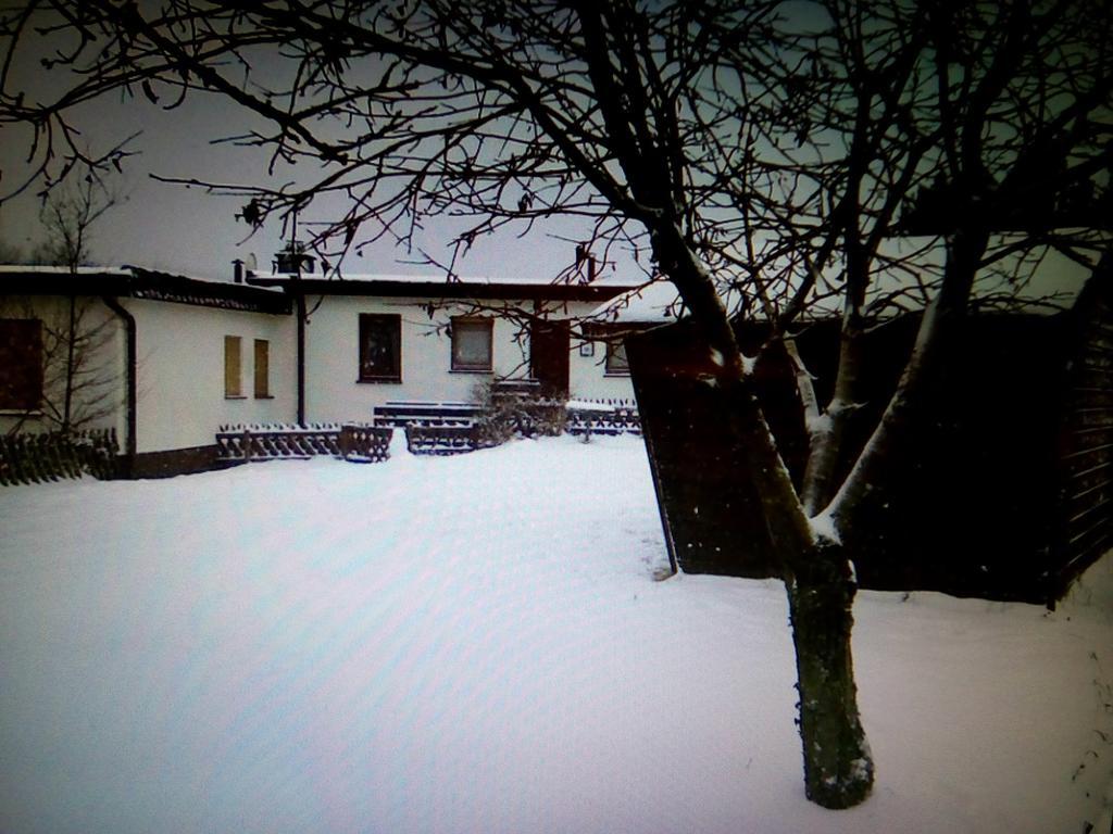Haus Panoramablick Vila Medebach Exterior foto